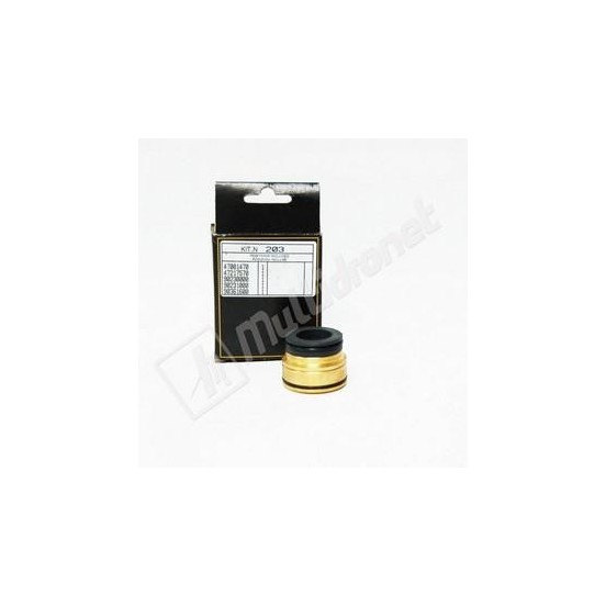 KIT 203 COLLARINES Y BRONCES D.22 INTERPUMP KIT 203 COLLARINES Y BRONCES D.22 INTERPUMP